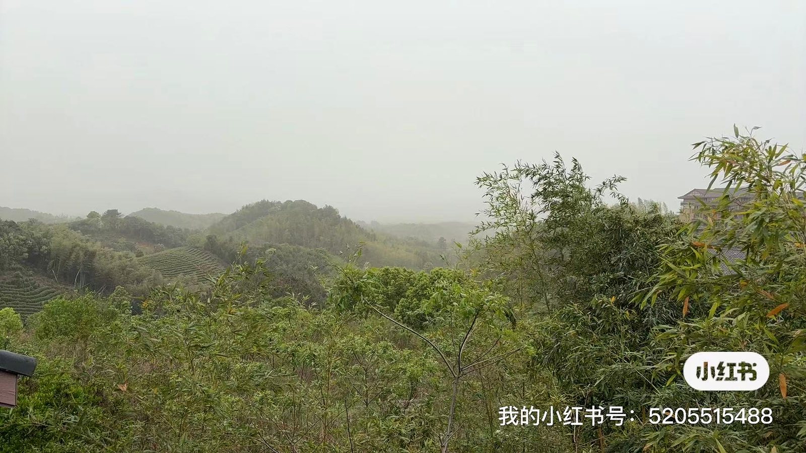 远山视角