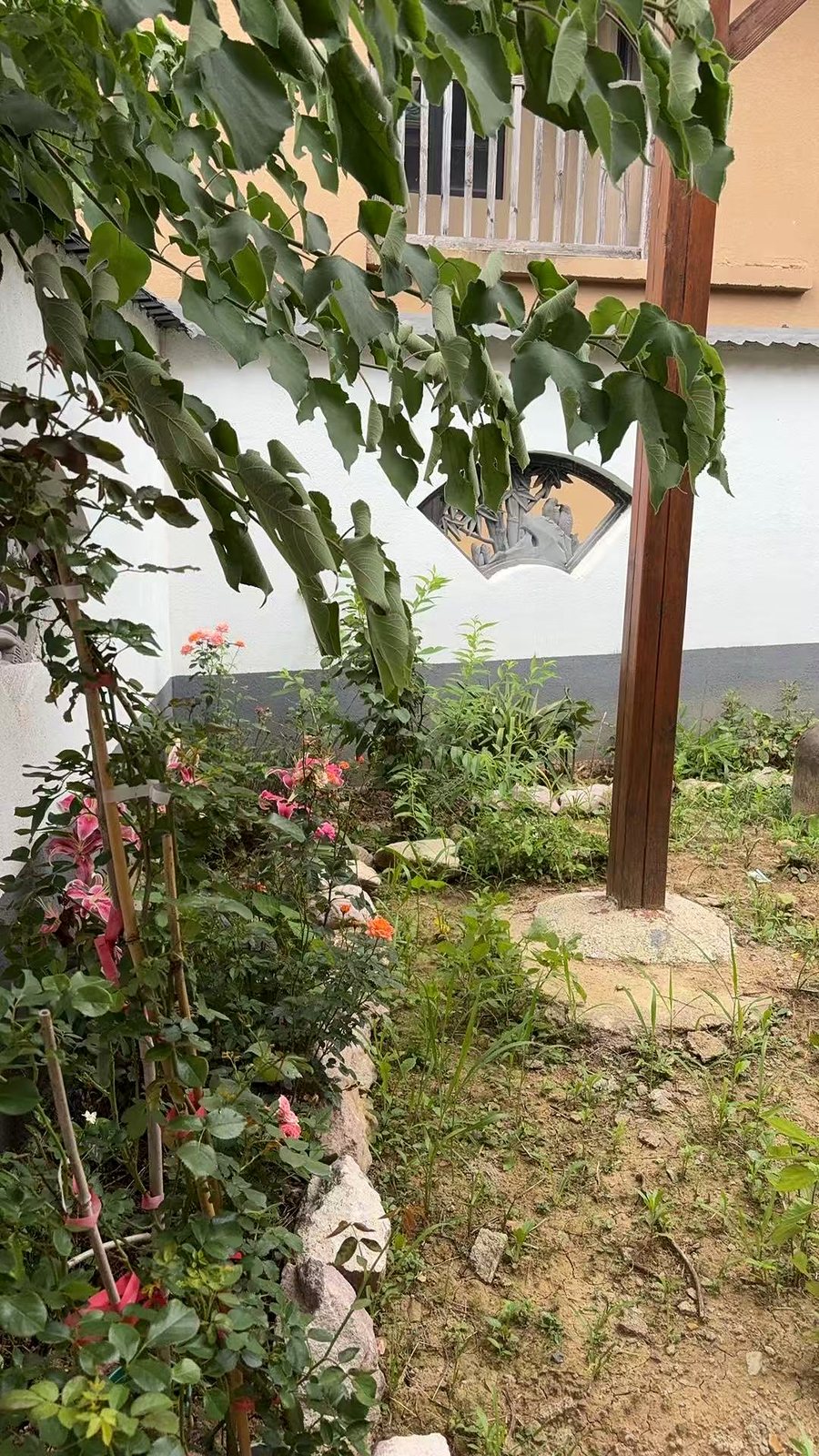 花圃与葡萄架