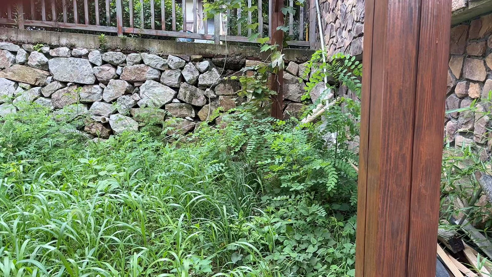 草地另一角