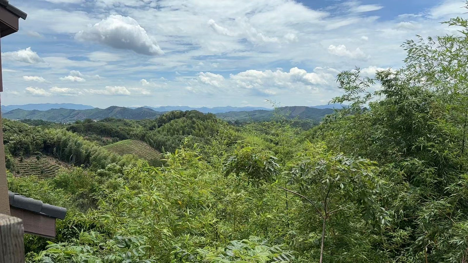 餐厅望山